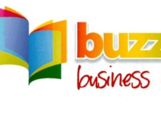 Dissemination Seminar: Kidz Buzzness