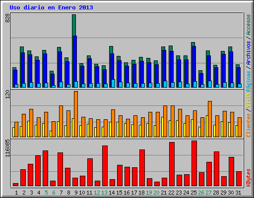 Uso diario en Enero 2013