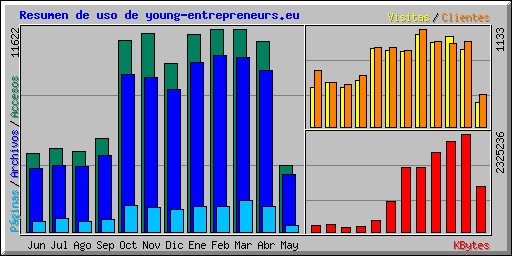 Resumen de uso de young-entrepreneurs.eu